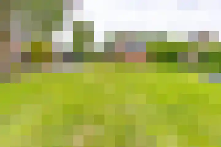 Hunzelaan 8 Gasselternijveen thumbnail 5