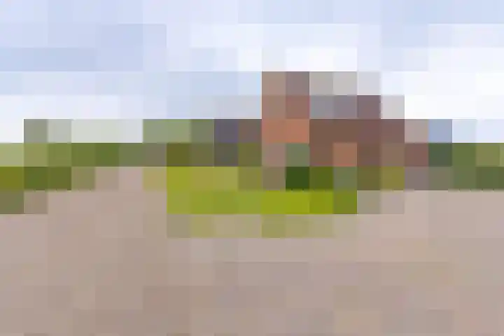 Hunzelaan 8 Gasselternijveen thumbnail 9