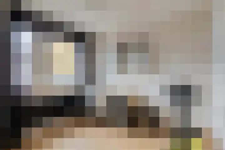 Hunzestraat 106 Helmond thumbnail 20