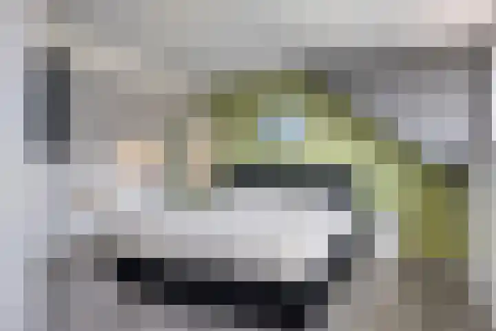 Hunzestraat 120 Helmond thumbnail 28