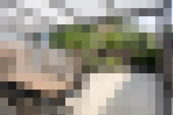 Hunzestraat 120 Helmond thumbnail 4