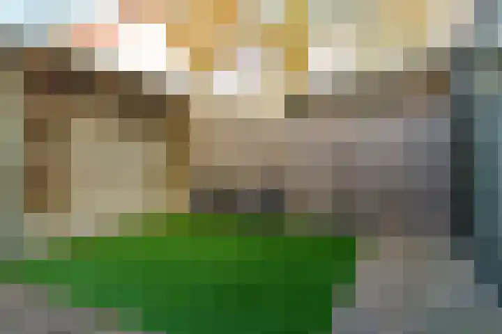 Hunzestraat 134 Helmond thumbnail 34