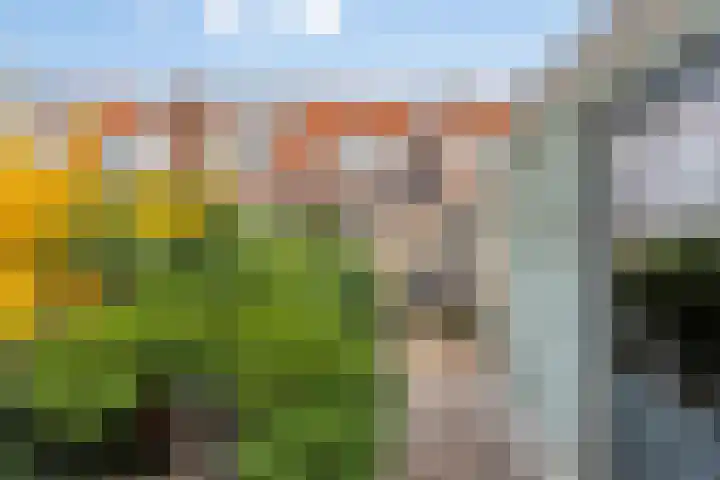Hunzestraat 15 Deventer thumbnail 20