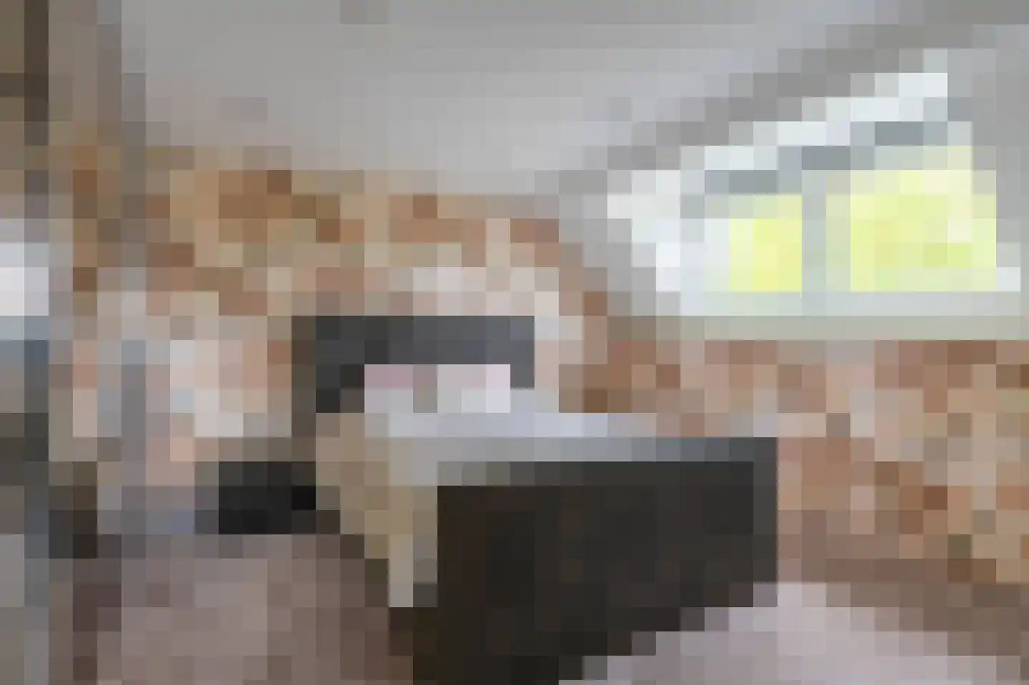 Hunzestraat 15 Heerlen thumbnail 17