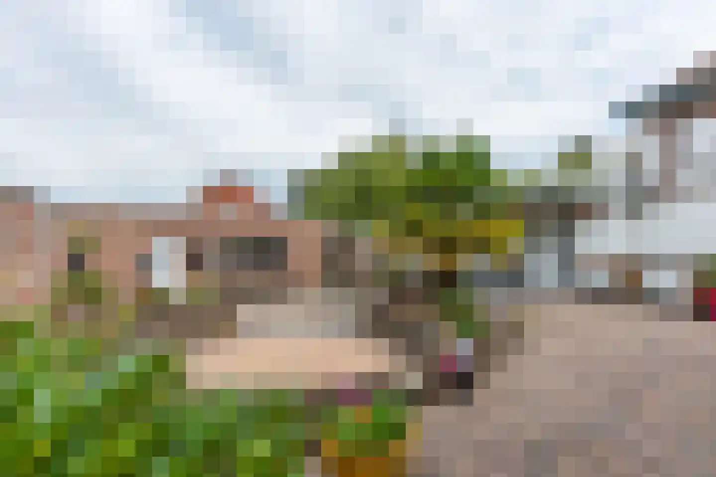 Hunzestraat 15 Heerlen thumbnail 21