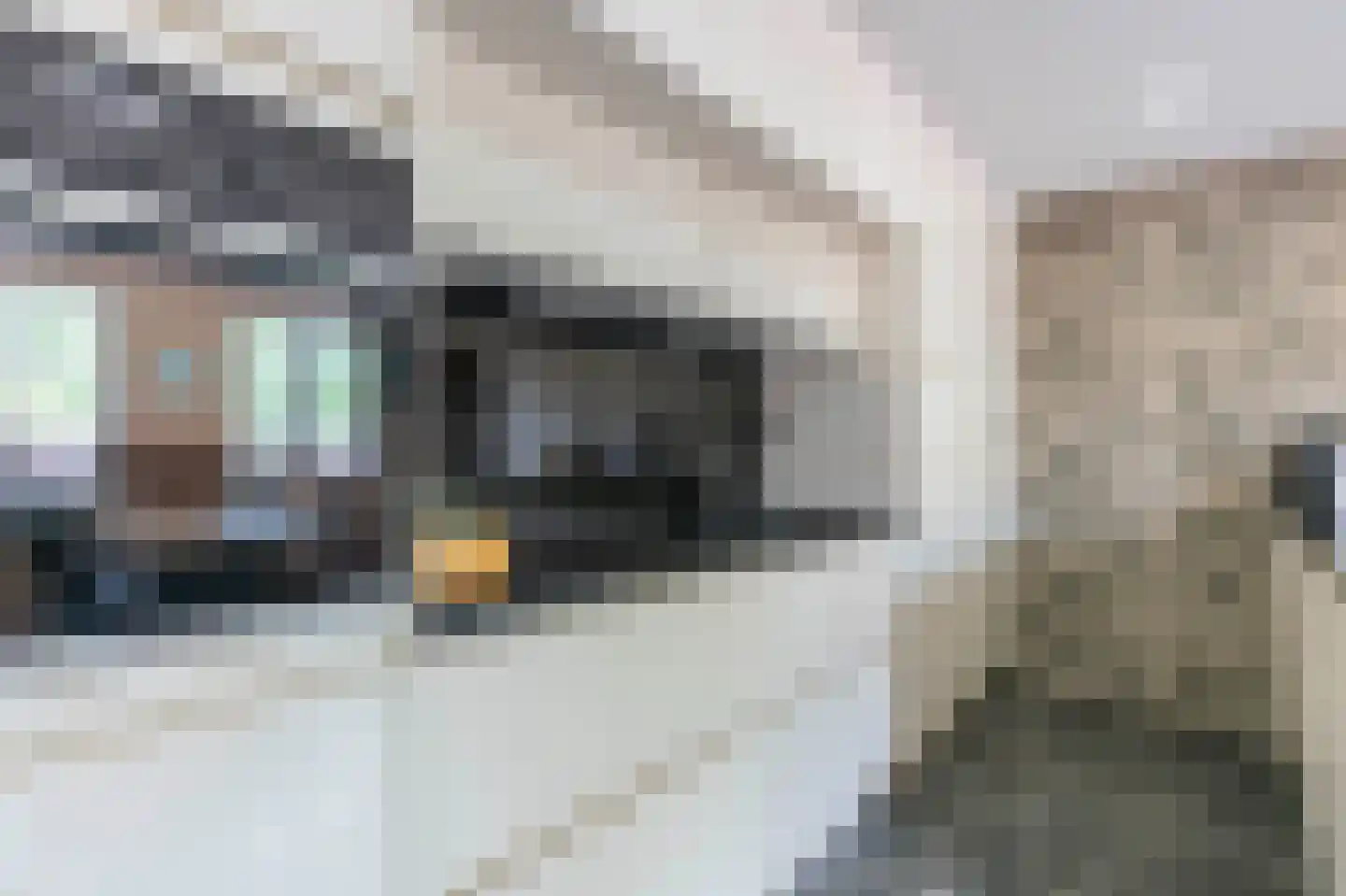 Hunzestraat 15 Heerlen thumbnail 8