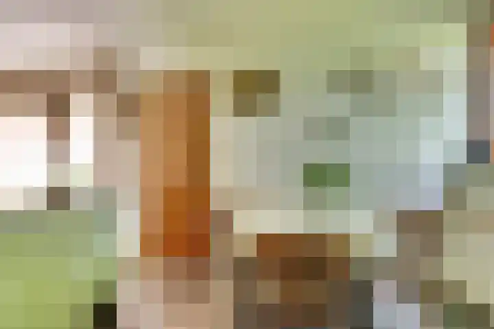 Hunzestraat 2 Emmeloord thumbnail 16