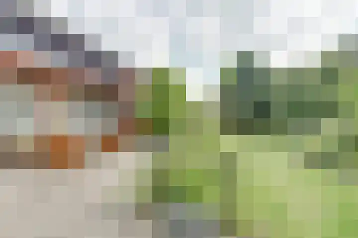 Hunzestraat 2 Emmeloord thumbnail 39