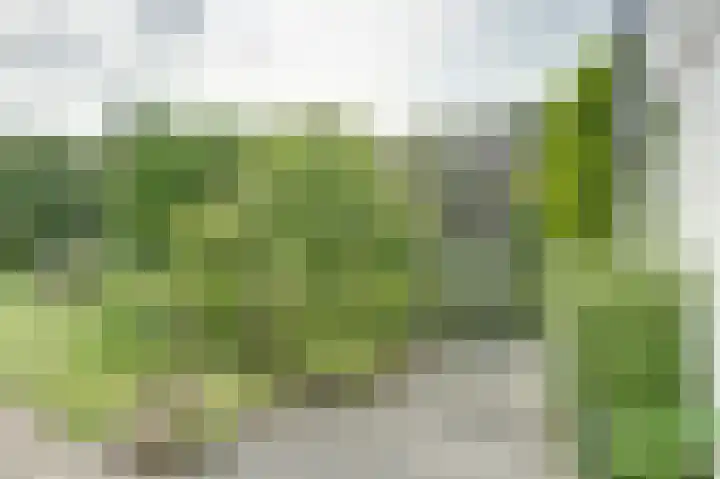 Hunzestraat 2 Emmeloord thumbnail 41