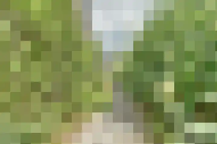 Hunzestraat 2 Emmeloord thumbnail 44