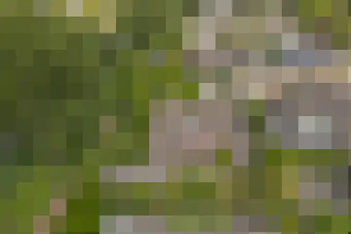 Hunzestraat 2 Emmeloord thumbnail 45