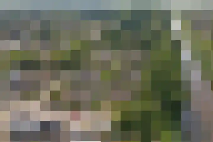 Hunzestraat 2 Emmeloord thumbnail 49