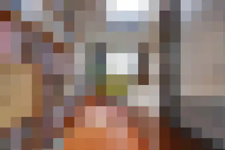 Hunzestraat 2 's-Hertogenbosch thumbnail 11