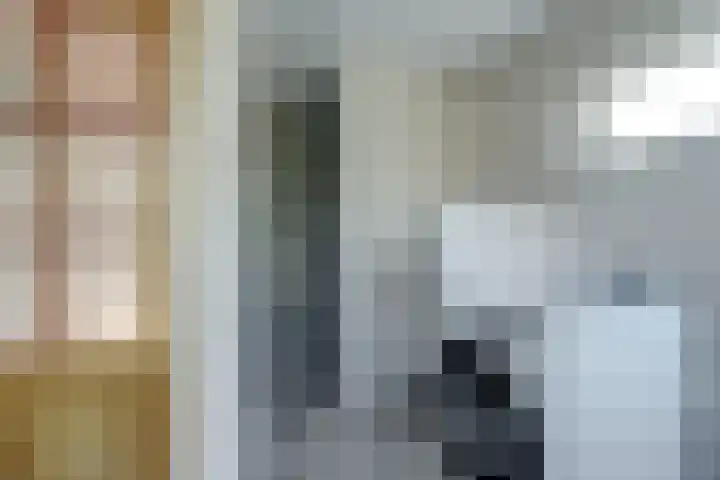 Hunzestraat 2 's-Hertogenbosch thumbnail 20