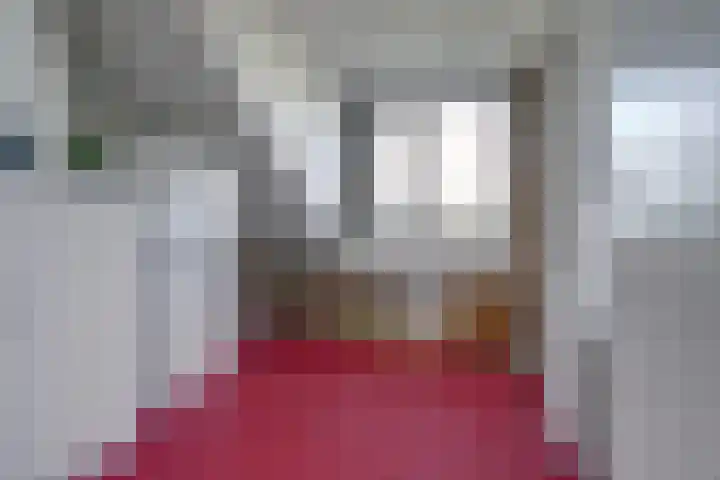 Hunzestraat 2 's-Hertogenbosch thumbnail 22