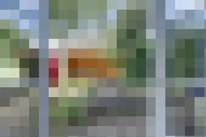 Hunzestraat 2 's-Hertogenbosch thumbnail 24