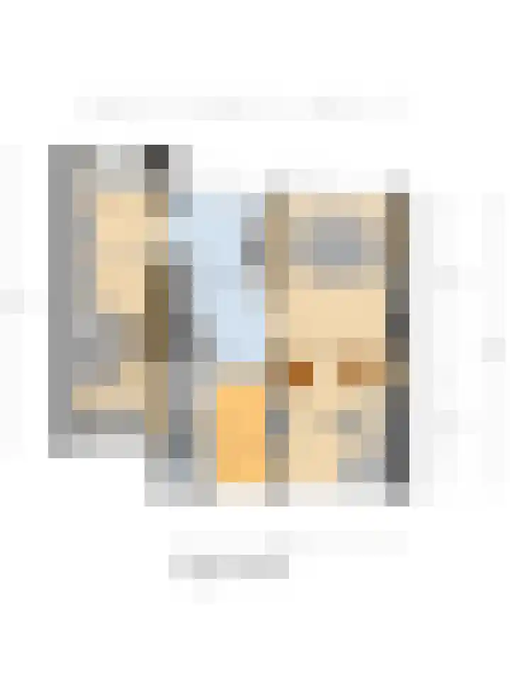 Hunzestraat 2 's-Hertogenbosch thumbnail 32