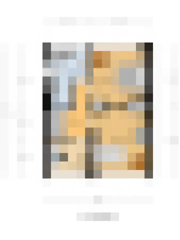 Hunzestraat 2 's-Hertogenbosch thumbnail 33