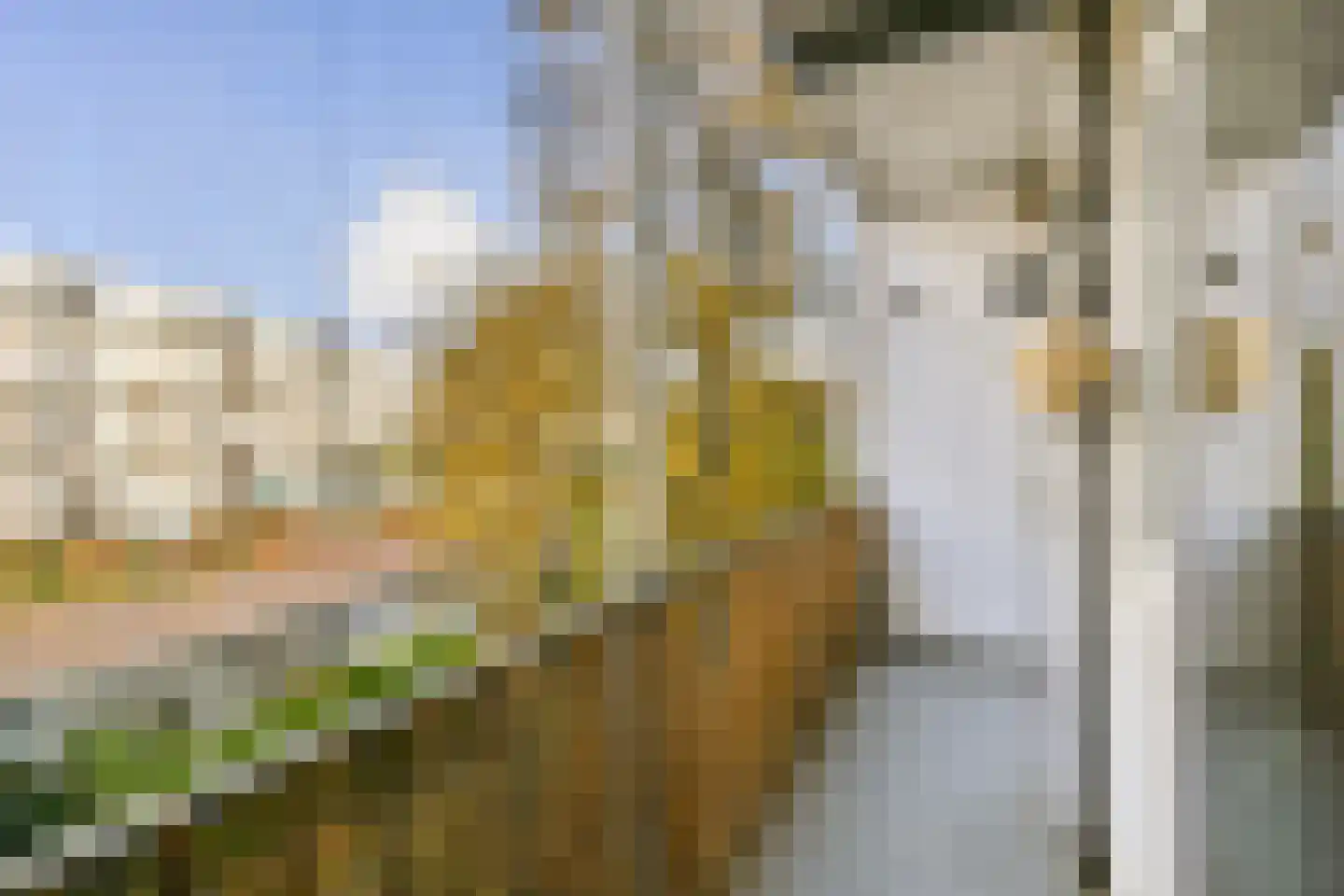 Hunzestraat 55 2 Amsterdam thumbnail 12