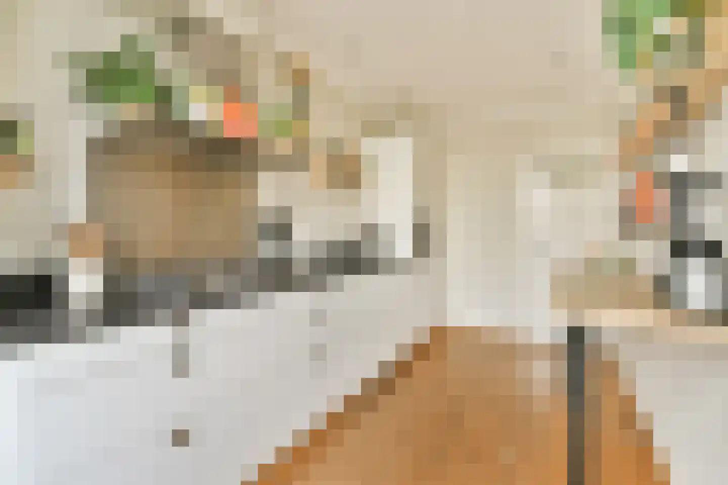 Hunzestraat 55 2 Amsterdam thumbnail 9