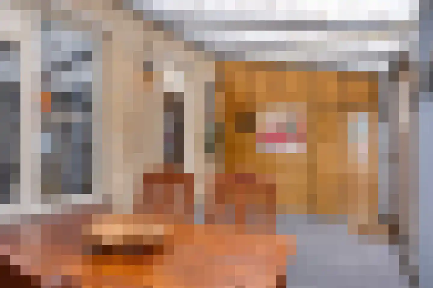 Hunzestraat 55 Helmond thumbnail 19
