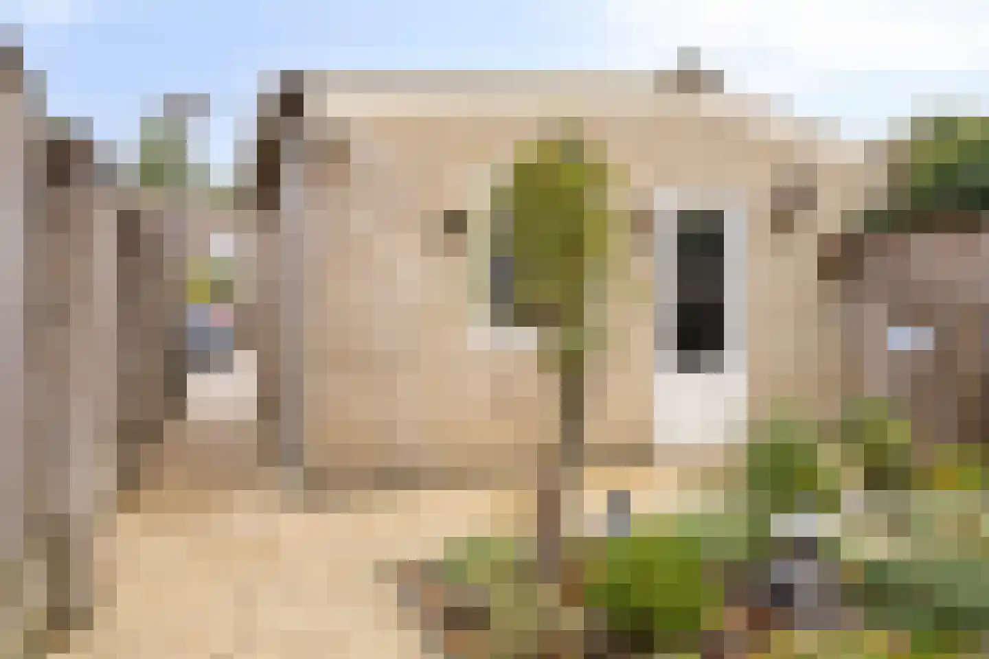 Hunzestraat 55 Helmond thumbnail 22