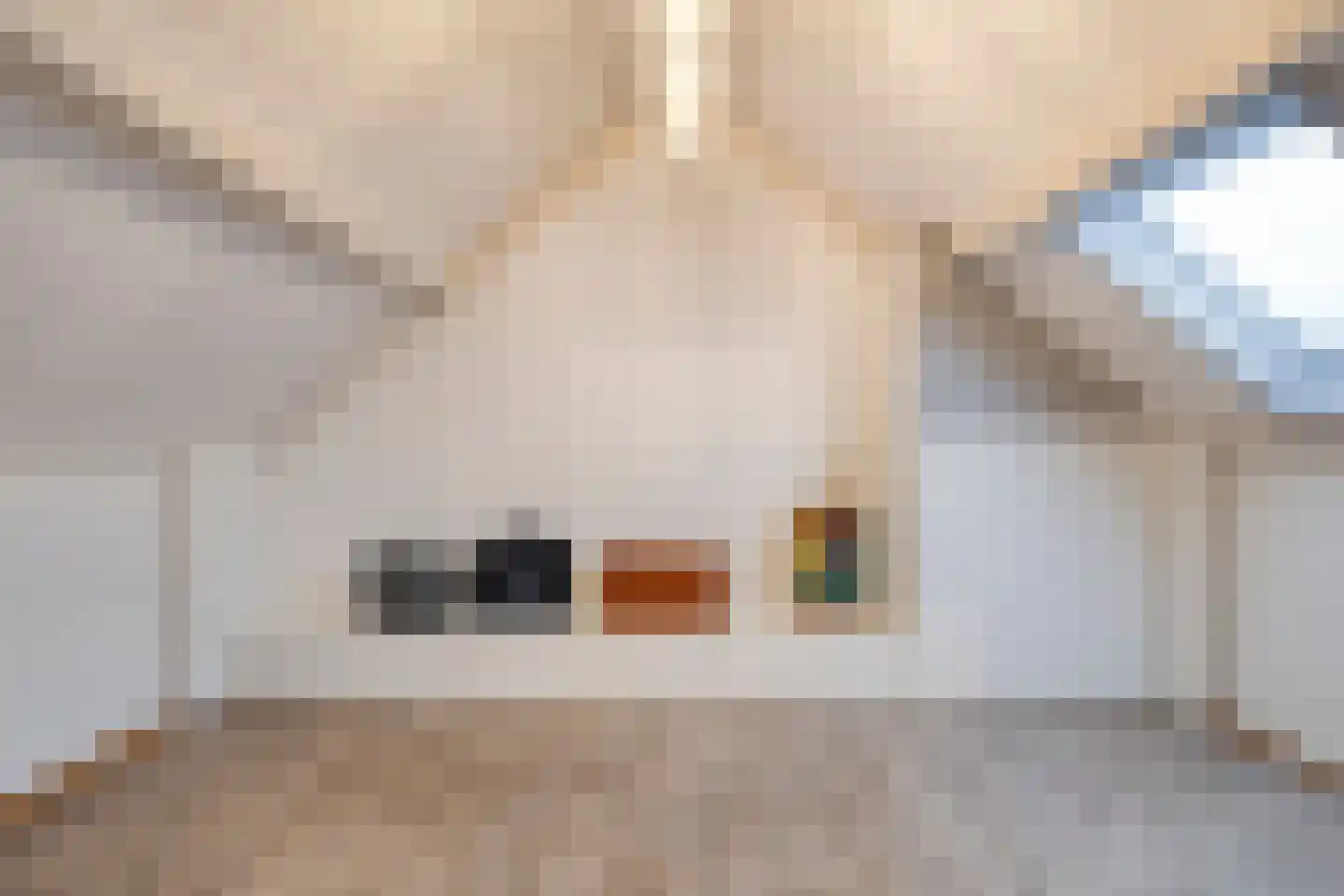 Hunzestraat 55 Helmond thumbnail 37