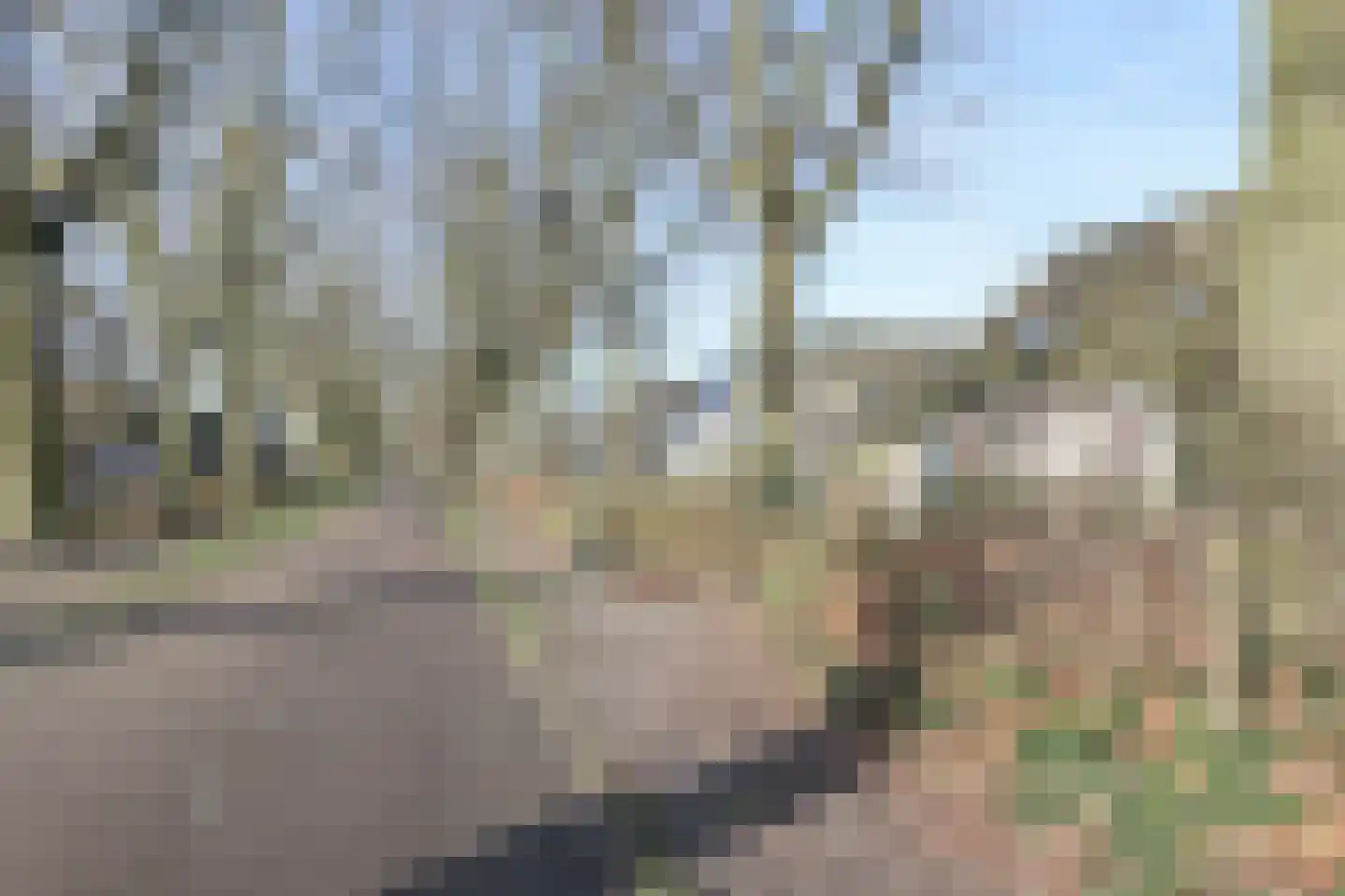 Hunzestraat 55 Helmond thumbnail 39