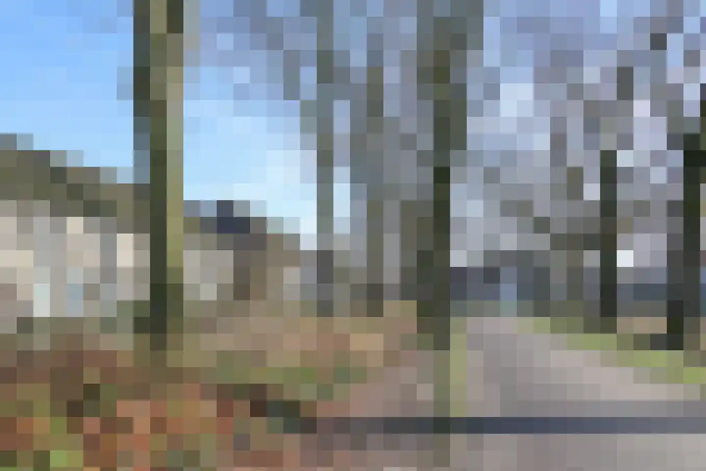Hunzestraat 55 Helmond thumbnail 40