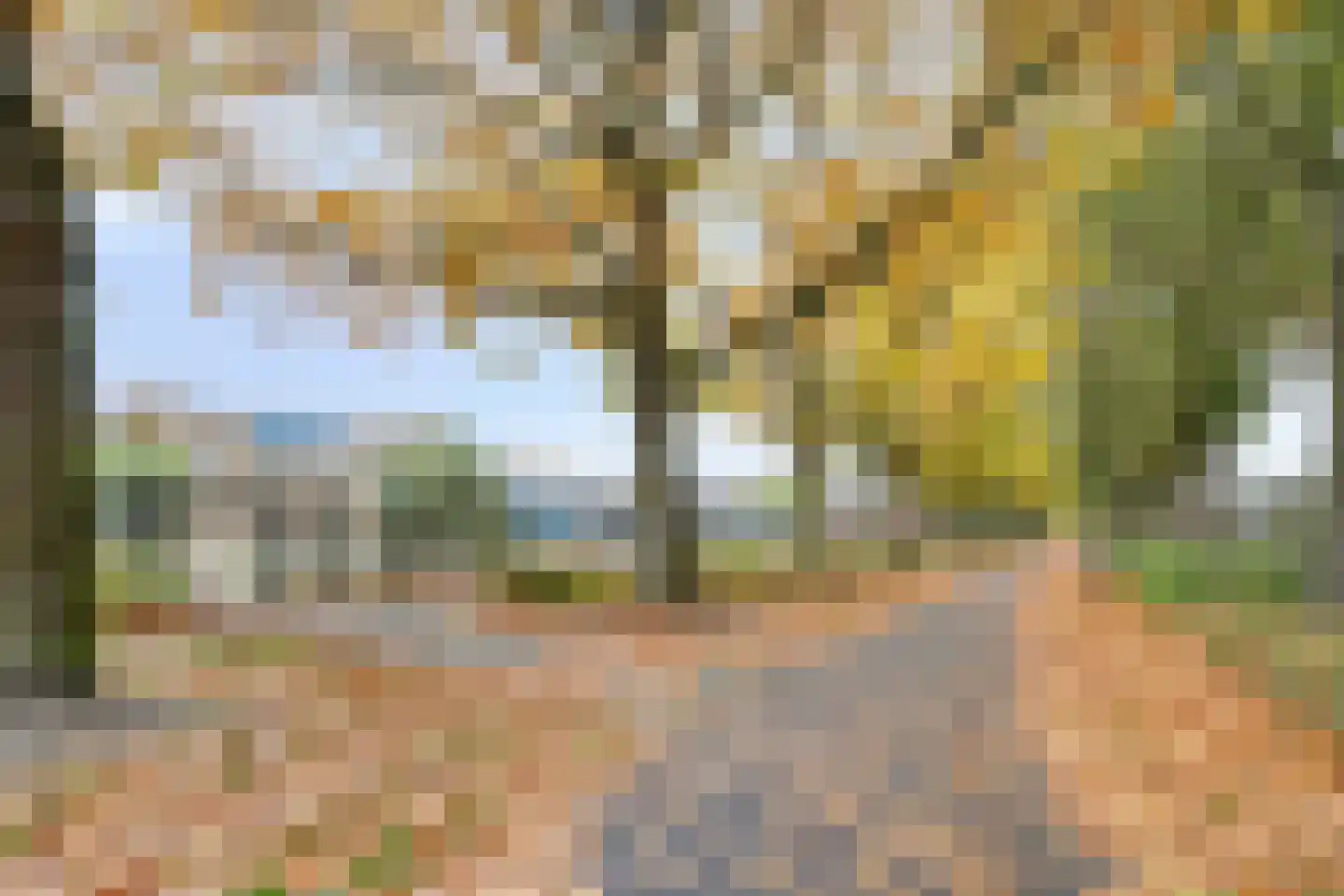 Hunzestraat 55 Helmond thumbnail 41