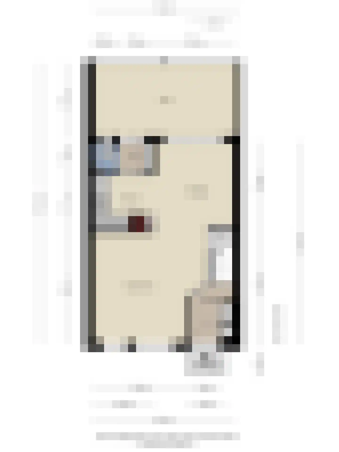 Hunzestraat 55 Helmond thumbnail 5