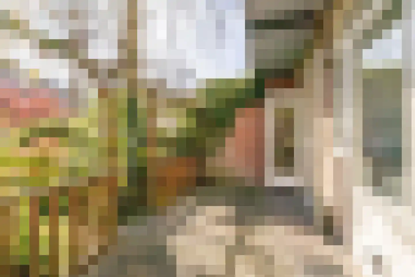 Hunzestraat 57 3 Amsterdam thumbnail 23
