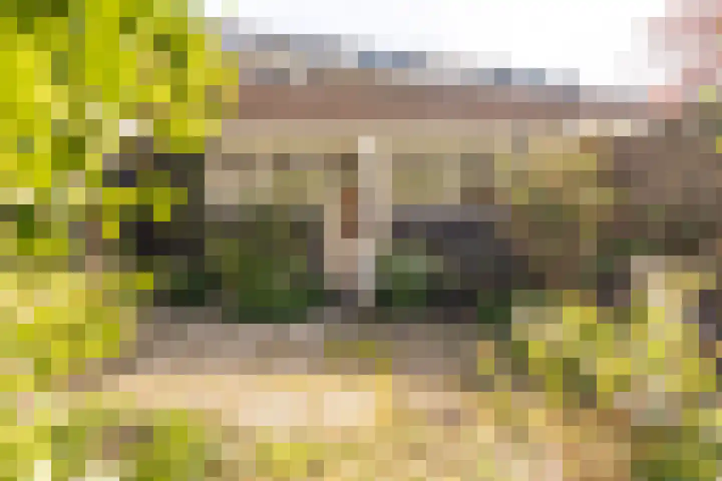 Hunzestraat 57 3 Amsterdam thumbnail 32