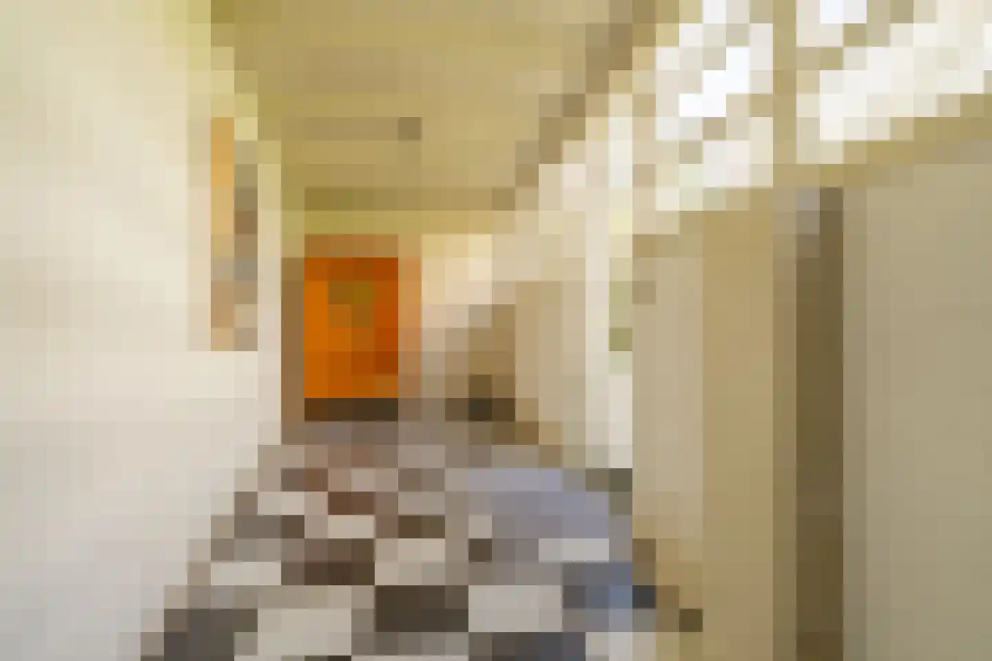 Hunzestraat 57 3 Amsterdam thumbnail 33