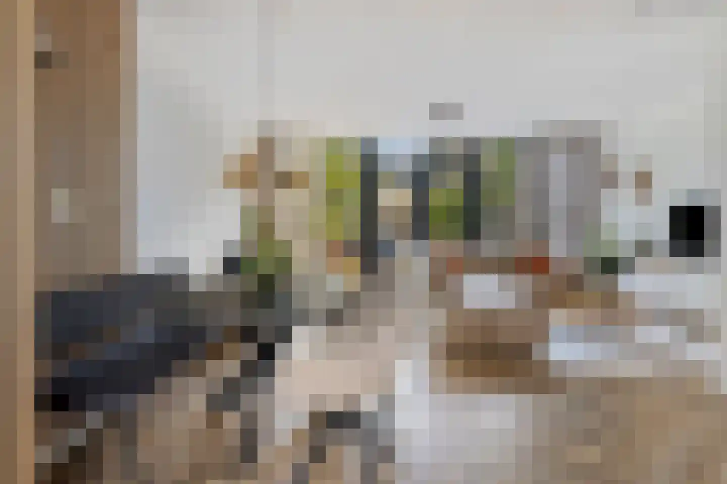 Hunzestraat 6 Oost-Souburg thumbnail 10