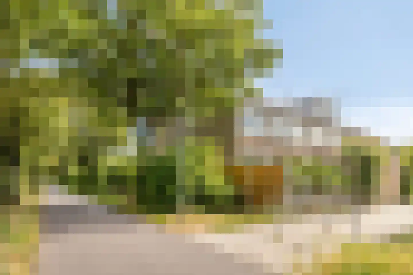 Hunzestraat 6 Oost-Souburg thumbnail 38