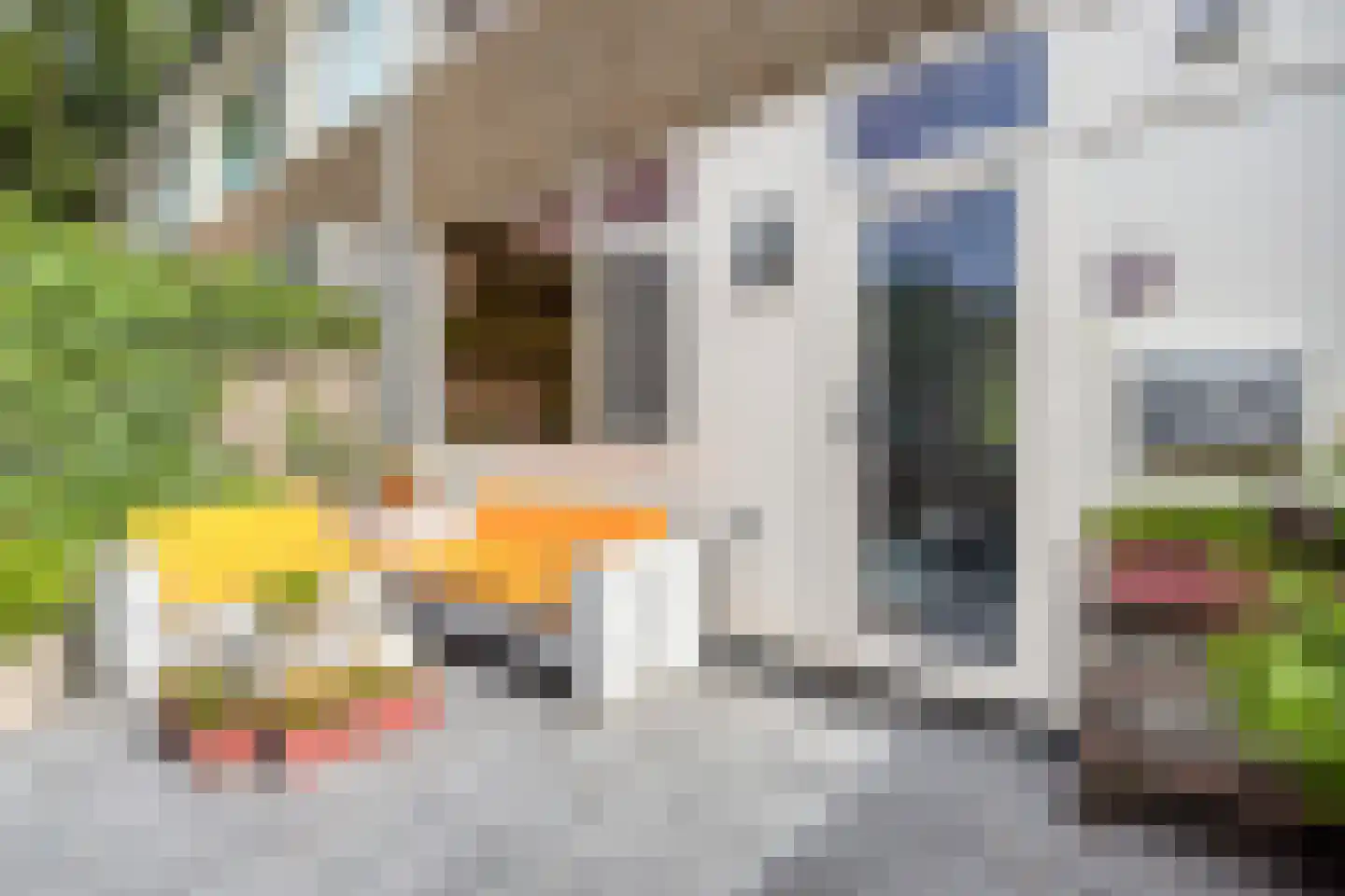 Hunzestraat 6 Oost-Souburg thumbnail 7