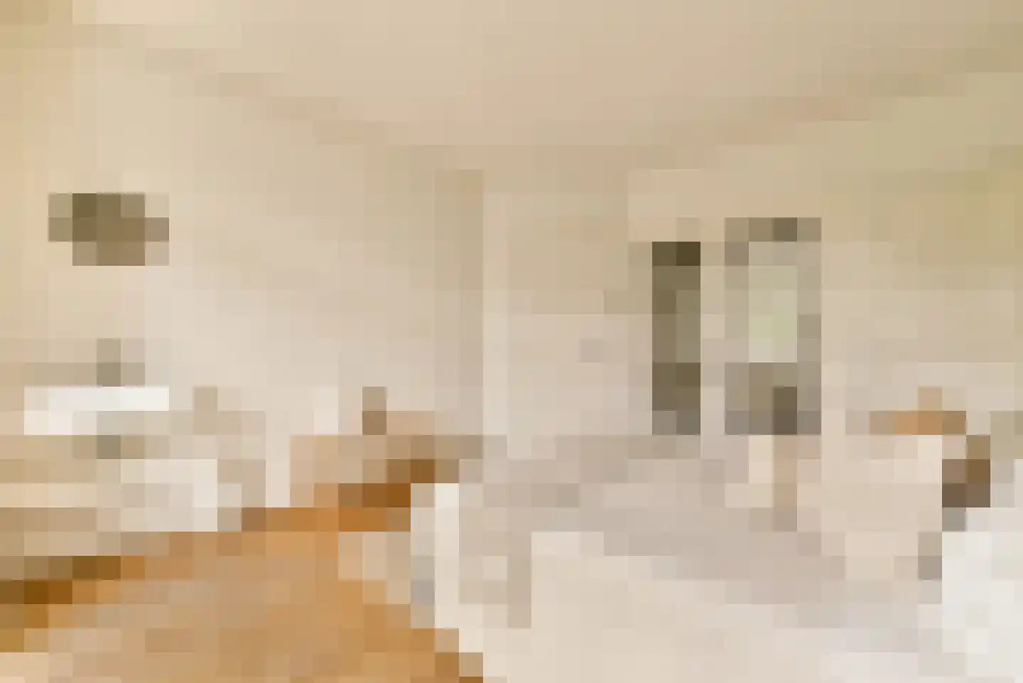 Hunzestraat 63 1 Amsterdam thumbnail 19