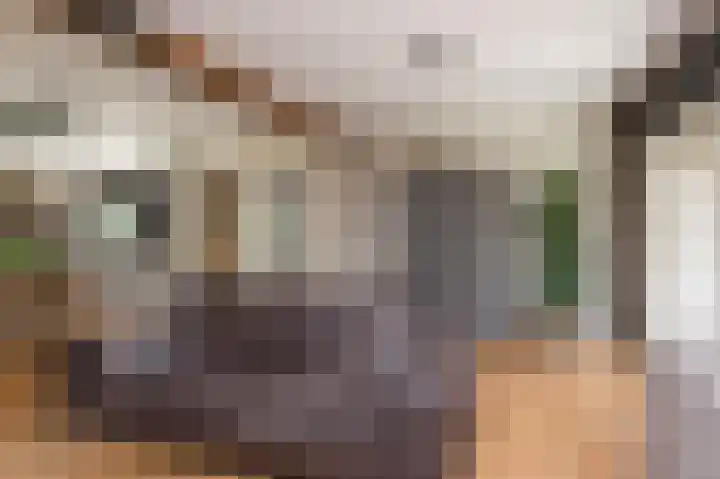 Hunzeweg 25 Nieuw Annerveen thumbnail 12