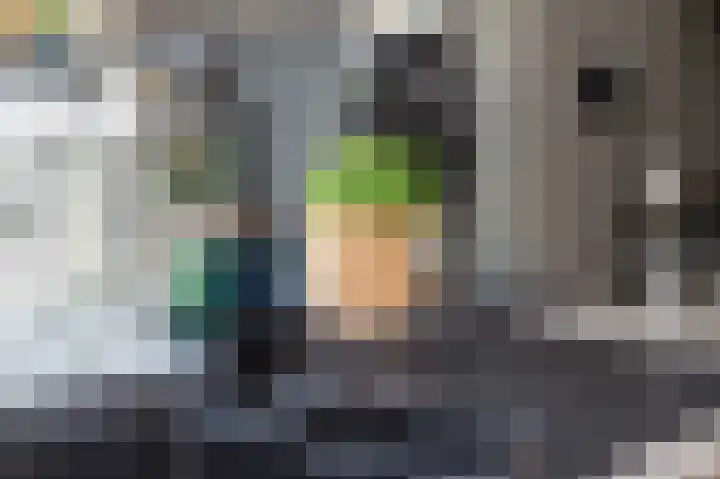 Hunzeweg 25 Nieuw Annerveen thumbnail 20