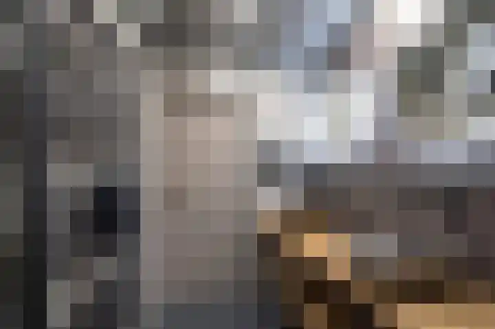 Hunzeweg 25 Nieuw Annerveen thumbnail 22