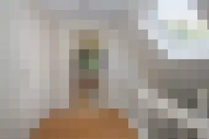Hunzeweg 25 Nieuw Annerveen thumbnail 25