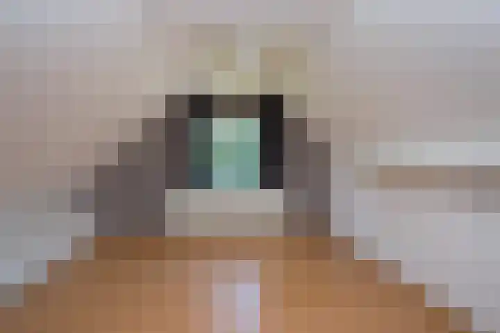 Hunzeweg 25 Nieuw Annerveen thumbnail 26