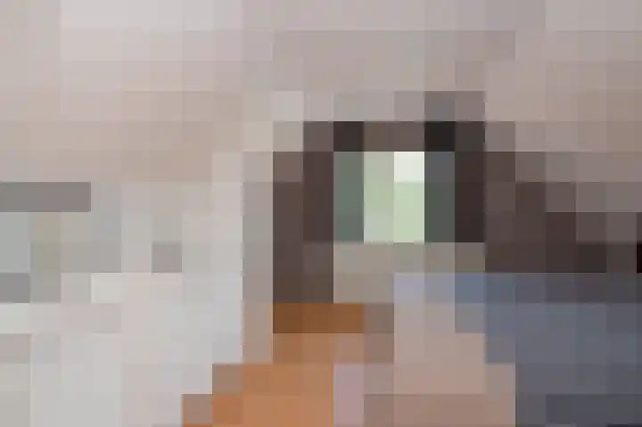 Hunzeweg 25 Nieuw Annerveen thumbnail 28