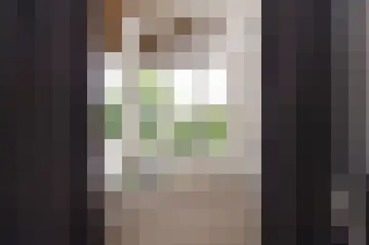 Hunzeweg 25 Nieuw Annerveen thumbnail 37