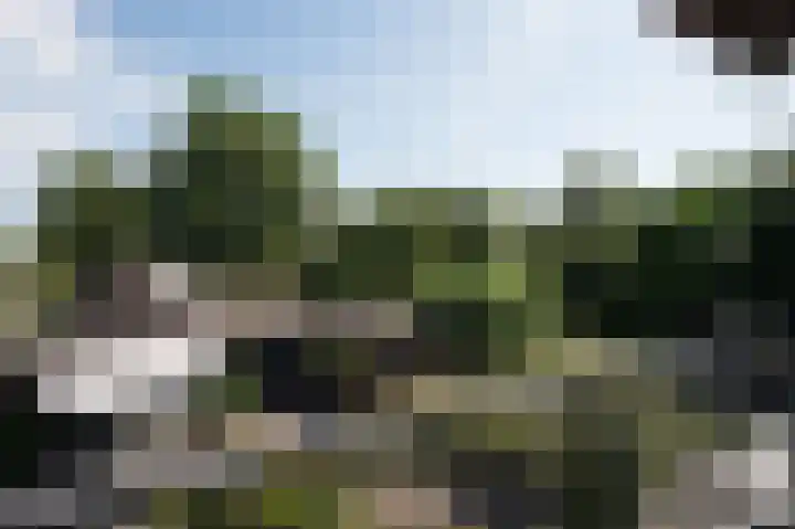 Hunzeweg 25 Nieuw Annerveen thumbnail 38