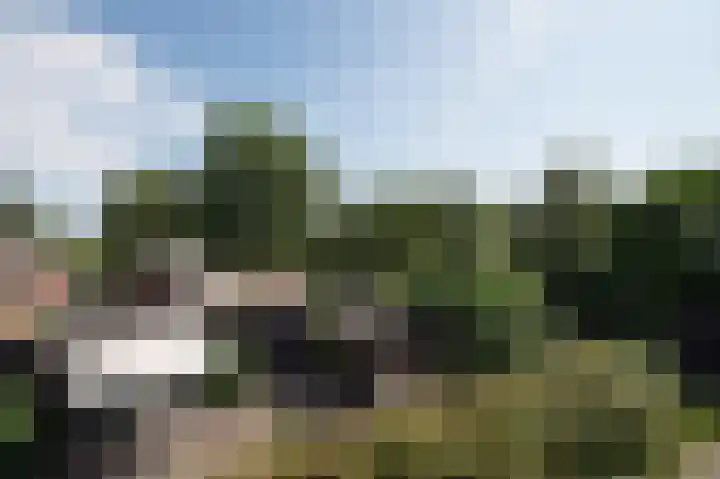 Hunzeweg 25 Nieuw Annerveen thumbnail 39