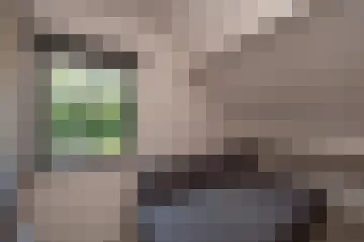 Hunzeweg 25 Nieuw Annerveen thumbnail 40