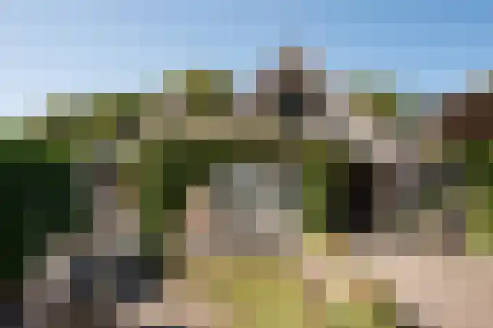 Hunzeweg 25 Nieuw Annerveen thumbnail 44