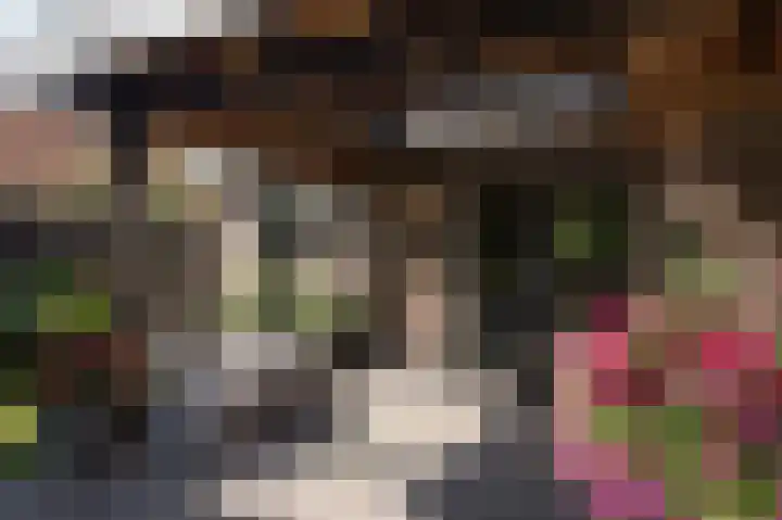 Hunzeweg 25 Nieuw Annerveen thumbnail 48